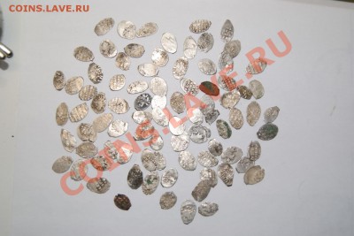 Вот такая чешуя - DSC06891 чеш