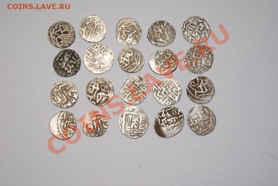 Вот такие дихремчики попались - DSC06887 2 сторон