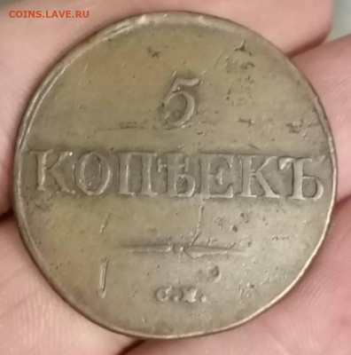 5 копеек 1831 см до 29.08.2023 . в 22.00 по мск. - IMG_20230724_024232