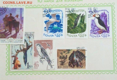 Оценка - изображение_viber_2023-08-27_16-12-47-887