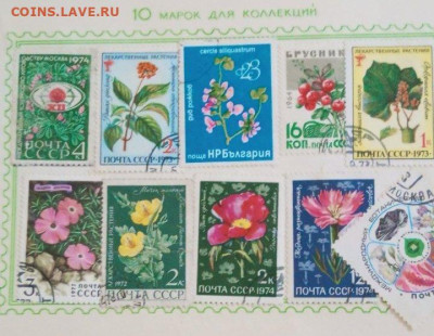 Оценка - изображение_viber_2023-08-27_16-12-49-680