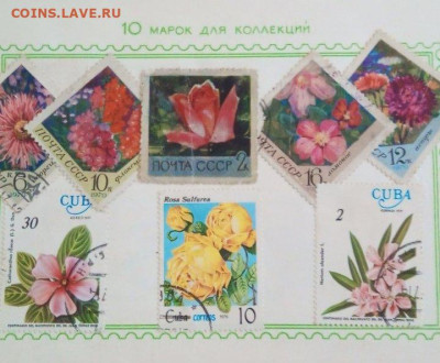 Оценка - изображение_viber_2023-08-27_16-12-50-214