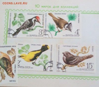 Оценка - изображение_viber_2023-08-27_16-12-50-755