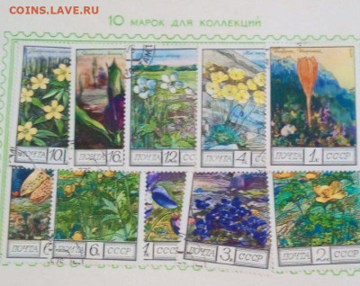 Оценка - изображение_viber_2023-08-27_16-12-51-506