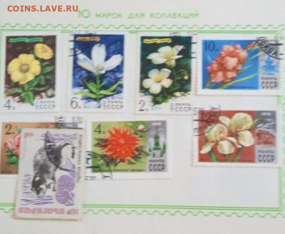 Оценка - изображение_viber_2023-08-27_16-12-52-053