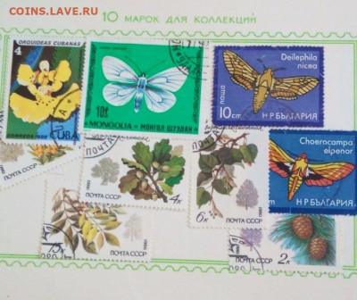 Оценка - изображение_viber_2023-08-27_16-12-52-803