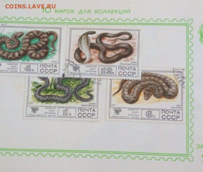 Оценка - изображение_viber_2023-08-27_16-12-53-724