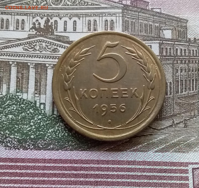 5 копеек 1956. До 03.09.23 в 22.00 - 20230830_113746