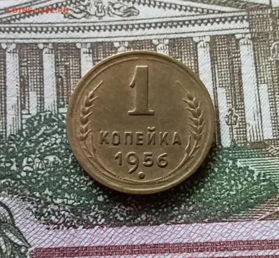 1 копейка 1956. До 03.09.23 в 22.00 - 20230830_125505