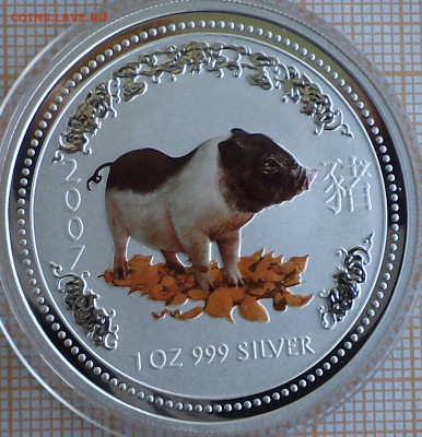 Австралия 1 доллар 2007 г. свинья цв, до 04.09.2023 г. в 22. - Австралия 1 доллар 2007 свинья цветная1