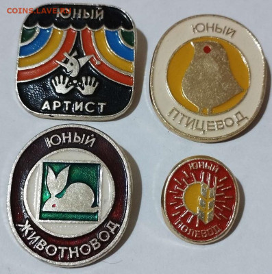 Юный артист, полевод, птицевод, животновод, до 03.09.23г. - IMG_20230829_205534_thumb