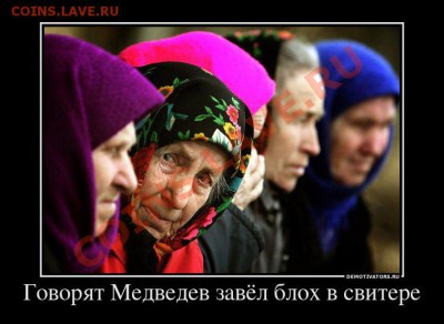 юмор - 866107_govoryat-medvedev-zavyol-bloh-v-svitere