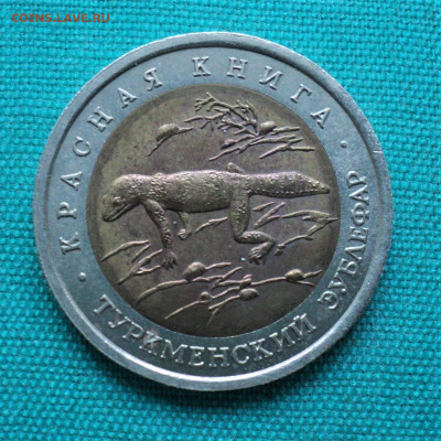 50 руб. 1993 г. Туркменский эублефар. до 4.09. - DSC05297.JPG