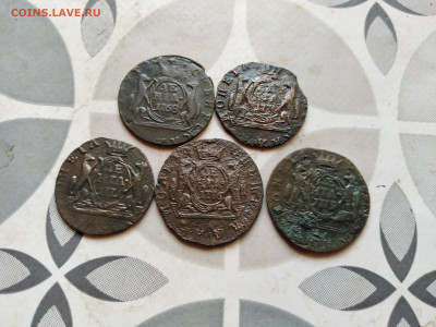 денга 1768,1770,1771,1776,1779 сибирь до 05.09.2023 - 5сиб