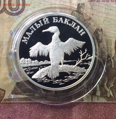 1 рубль 2003 года Баклан Пруф Красная книга до 07.09 - 92