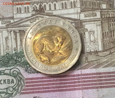 50 рублей 1994 Красная книга Слепыш до 07.09 - 47