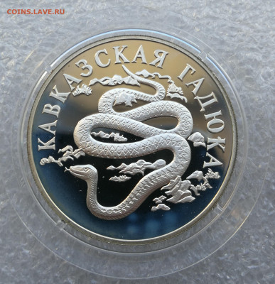 Набор красная книга 1999г 1 рубль гадюка,чайка,ёж до 11.09 - IMG_20230905_183725