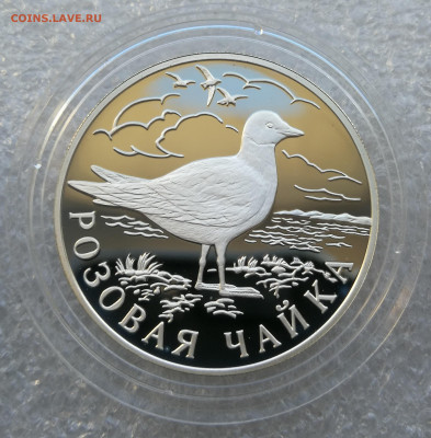 Набор красная книга 1999г 1 рубль гадюка,чайка,ёж до 11.09 - IMG_20230905_183733