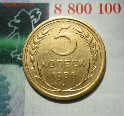5 копеек 1956г. До 10.09.2023. Окончание в 22-00 по мск. - P1450900.JPG