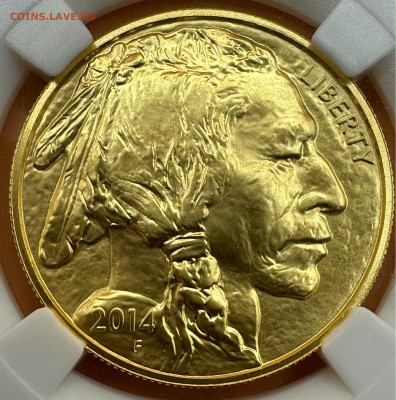 50 долларов 2014 F ННР MS 70  (Золото)  Короткий. 7.09.23 - image-06-09-23-08-07-1