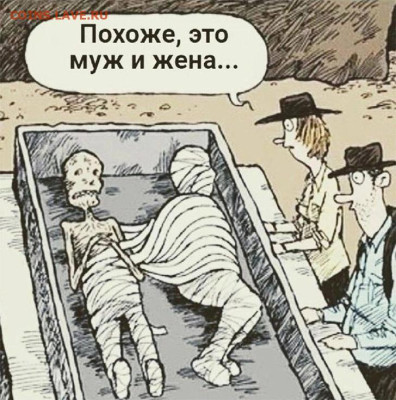 юмор - Пара