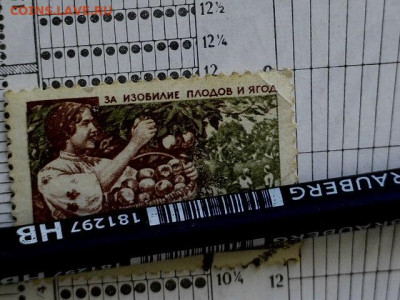 СССР 1961 год - 20230910-070119-577