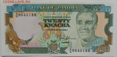 Замбия 20 квача 1991 г. до 13.09.23 - DSCN6016.JPG