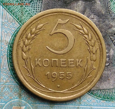 5 копеек 1955 года до 14.09.2023 - IMG_20230910_202538