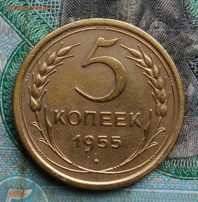5 копеек 1955 года до 14.09.2023 - IMG_20230910_201654