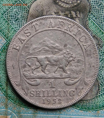 Вост. Британская Африка 1 шиллинг 1952 до 14.09.2023 - IMG_20230910_034553