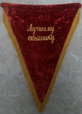 Вымпел«Лучшему скотнику»бархат,вышивка,с200 руб,до 14.09.23г - IMG_8008