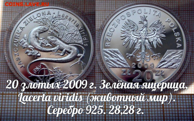 Польша 20 злотых 2009 Зелёная ящерица, До 14.09.23 в 22:00 - 3 (1)_