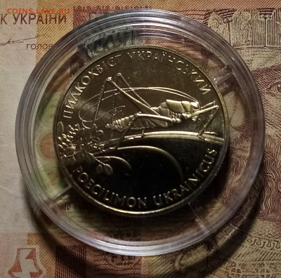 УКРАИНА 2 гр 2006 г Пылохвост ( кузнечик ) до 17.09 - кузнечик 1