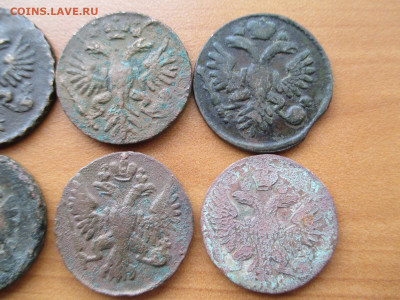 Денга 1730-1751.  10 монет из комплекса.  16.09 - IMG_0919.JPG