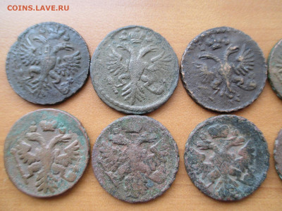 Денга 1730-1751.  10 монет из комплекса.  16.09 - IMG_0918.JPG