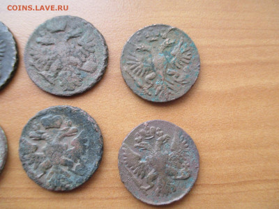 Денга 1730-1751.  10 монет из комплекса.  16.09 - IMG_0926.JPG