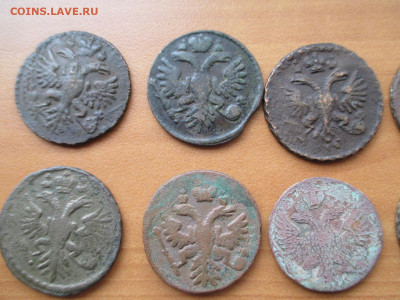 Денга 1730-1751.  10 монет из комплекса.  16.09 - IMG_0925.JPG