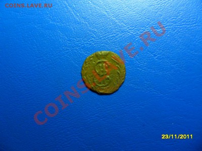 2 сиб.полушки до 29 дек. - SAM_5976.JPG