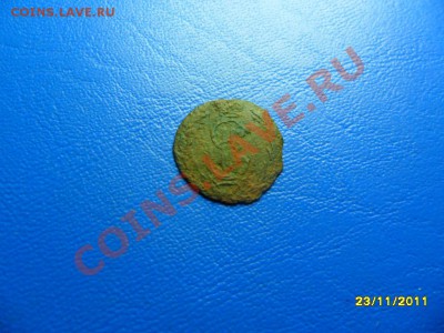 2 сиб.полушки до 29 дек. - SAM_6190.JPG