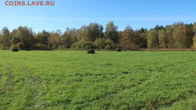 Любители "тихой охоты" есть? Все сюда :) - 2