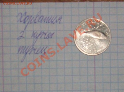 Конкурс "На РЫБАЛКУ" - 100E3500.JPG
