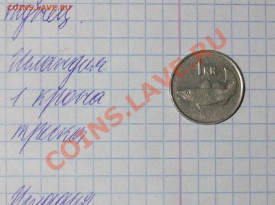Конкурс "На РЫБАЛКУ" - 100E3502.JPG