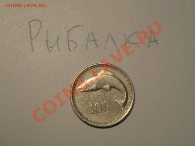 Конкурс "На РЫБАЛКУ" - IMG_8808.JPG