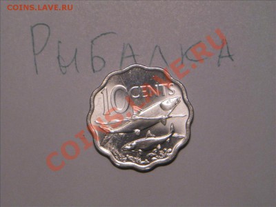 Конкурс "На РЫБАЛКУ" - IMG_8810