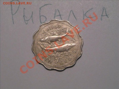 Конкурс "На РЫБАЛКУ" - IMG_8811