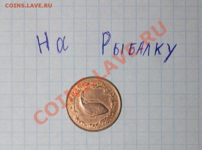 Конкурс "На РЫБАЛКУ" - 100E3514.JPG