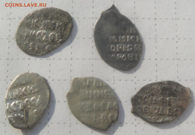 5 чешуек Бориса Федоровича Шуйского - SAM_4013.JPG