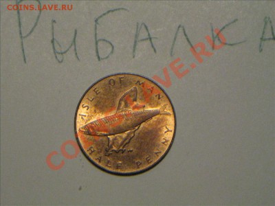 Конкурс "На РЫБАЛКУ" - IMG_8817