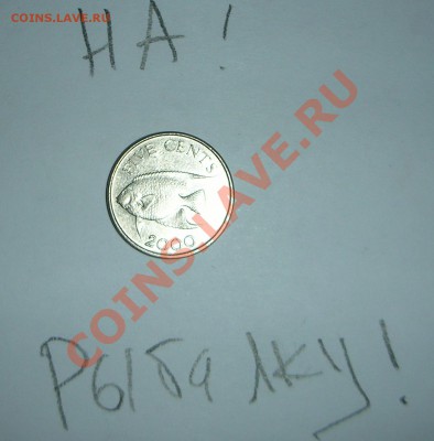 Конкурс "На РЫБАЛКУ" - бермуды