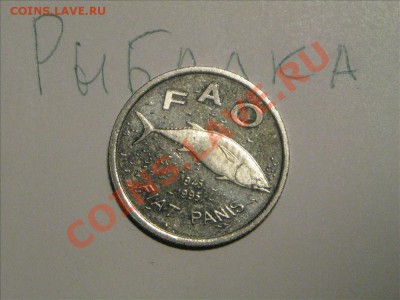 Конкурс "На РЫБАЛКУ" - IMG_8822